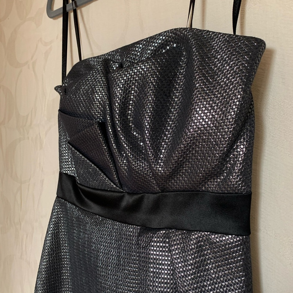 Strapless Silver Max and Cleo Dress